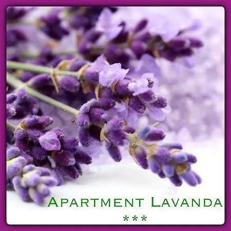 Apartamento Mala Luce Stobrec